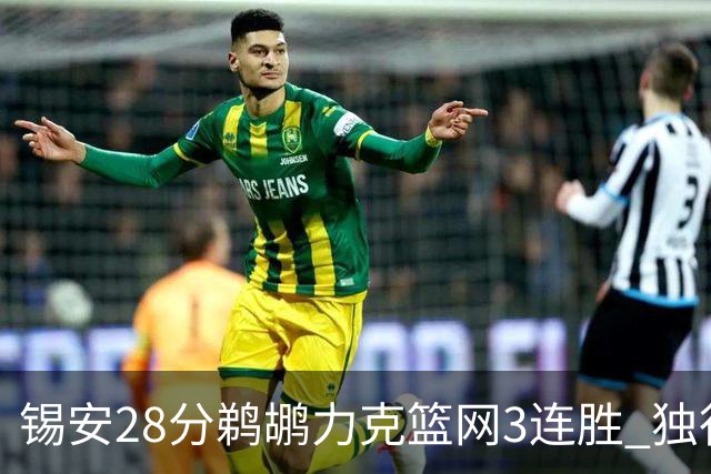 锡安28分鹈鹕力克篮网3连胜 独行侠险胜马刺
